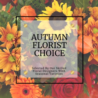 Autumn florist choice is the perfect design to select if you're stuck for choice. Design will include a range of fall favourites hand tied in water. 