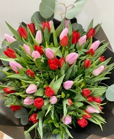 Stunning bomb of pink and red English grown tulips. Finished with eucalyptus collar. 