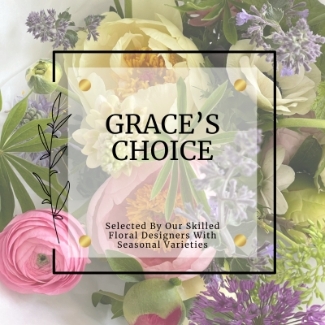 Grace’s Choice