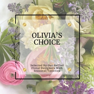 Olivia's Choice
